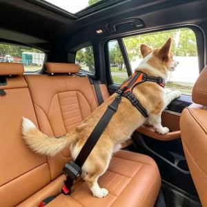 Retractable Pet Car Safety Belt | Auto Lock Dog Seat Belt For All Vehicles Retractable Pet Car Safety Belt | Auto Lock Dog Seat Belt For All Vehicles
